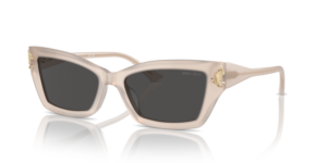 JIMMY CHOO SUNGLASS JC5011U 502587 55