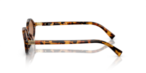 0MU_04ZS__19P2Z1__P21__shad__lt.png