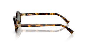 0MU_04ZS__VAU04M__P21__shad__lt.png