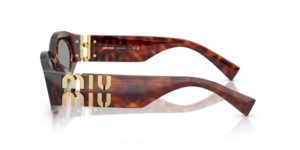 0MU_11WS__21C40O__P21__shad__lt.png