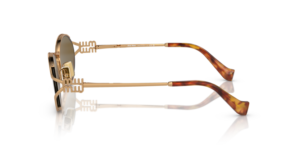0MU_52YS__7OE01T__P21__shad__lt.png