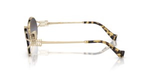 0MU_52YS__ZVN5D1__P21__shad__lt.png