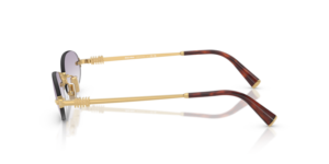 0MU_A54S__5AK04O__P21__shad__lt.png