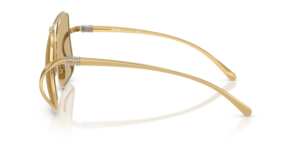 0MU_A55S__5AK10R__P21__shad__lt.png