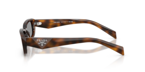 0PR_B06S__20D50Q__P21__shad__lt.png